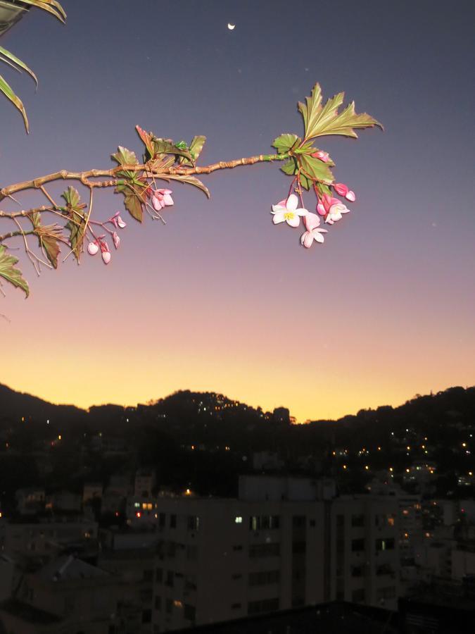 Orange Rio